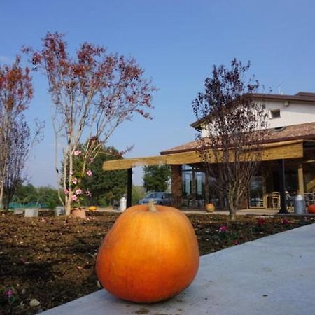 Agriturismo Campogrande Carpaneto Piacentino المظهر الخارجي الصورة